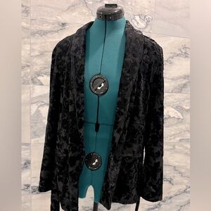 Velvet shimmer blazer